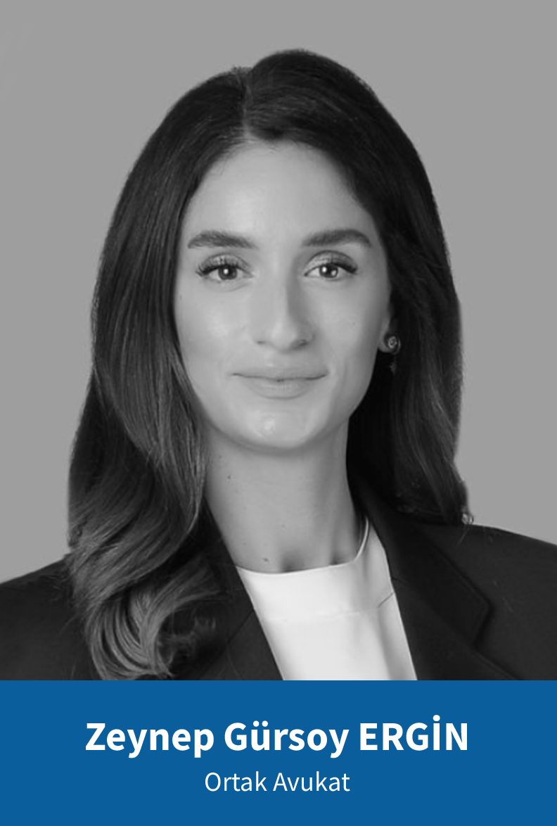 Zeynep Gursoy Ergin