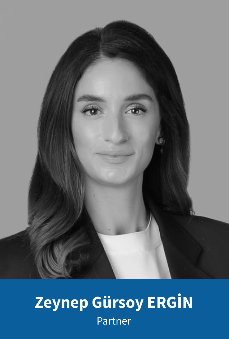 Zeynep Gursoy Ergin